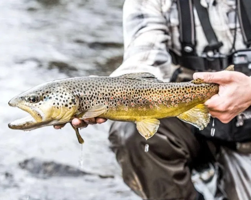 Fishing - A Colorado Adventure